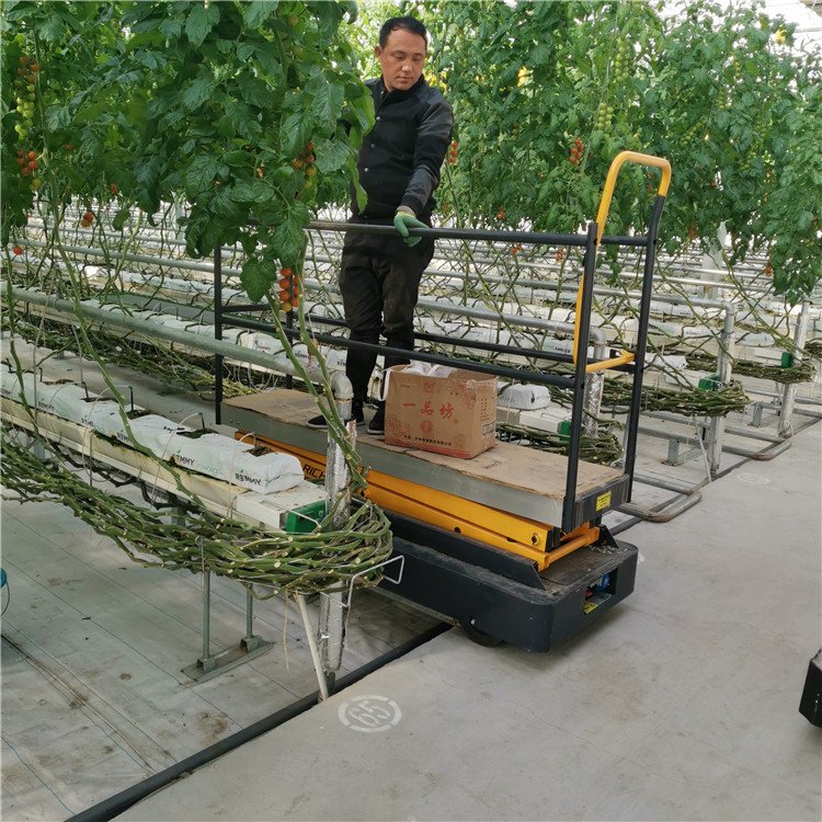 無土栽培，無土栽培技術(shù)，無土栽培設(shè)備