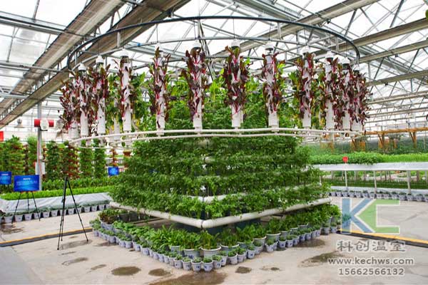 無土栽培，無土栽培技術，無土栽培設備