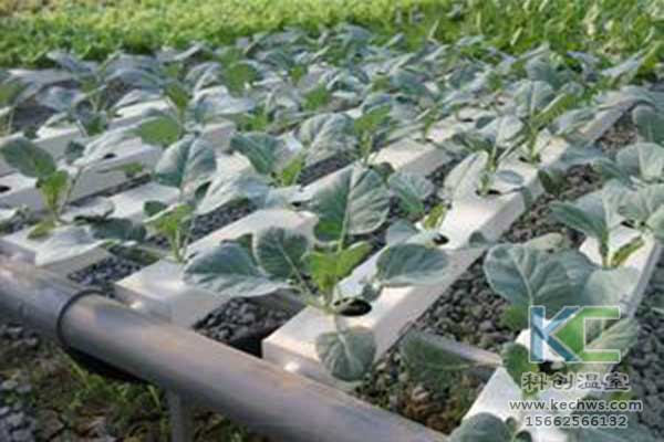 無土栽培，無土栽培技術