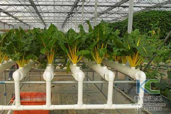 無(wú)土栽培，無(wú)土栽培技術(shù)，無(wú)土栽培設(shè)備