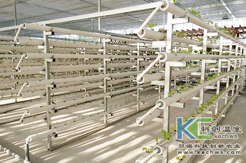 無土栽培,基質栽培,水培