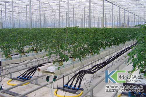 無土栽培，無土栽培技術(shù)，無土栽培設(shè)備