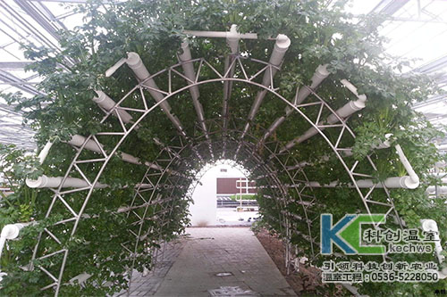 無(wú)土栽培，無(wú)土栽培技術(shù)，無(wú)土栽培設(shè)備