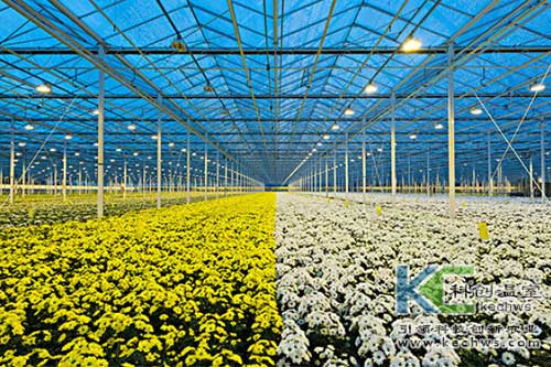 無(wú)土栽培，無(wú)土栽培技術(shù)，無(wú)土栽培設(shè)備