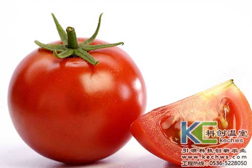 無(wú)土栽培，無(wú)土栽培技術(shù)，無(wú)土栽培設(shè)備