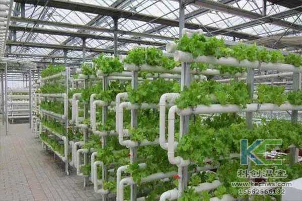 無土栽培，無土栽培技術，無土栽培設備