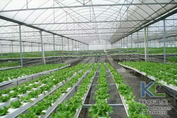 無土栽培，無土栽培技術，無土栽培設備