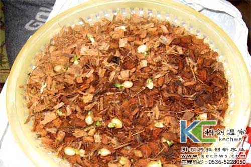 無土栽培，無土栽培技術，無土栽培基質