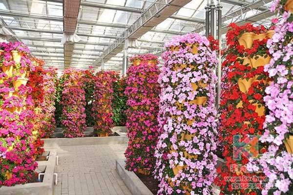 無土栽培，無土栽培技術，無土栽培設備