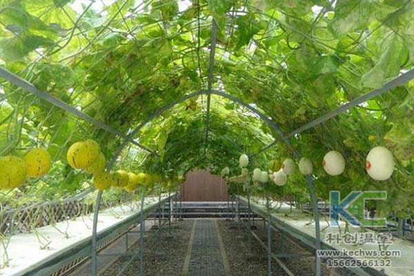 無土栽培，無土栽培技術(shù)，無土栽培設(shè)備