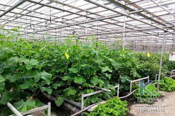 無土栽培，無土栽培技術，無土栽培設備
