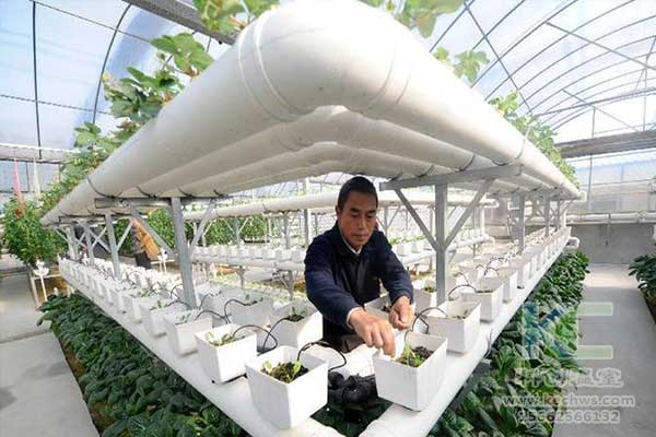 無(wú)土栽培，無(wú)土栽培技術(shù)，無(wú)土栽培設(shè)備
