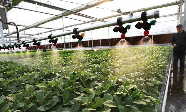 無土栽培，無土栽培技術，無土栽培設備