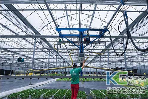 無土栽培，無土栽培技術，無土栽培設備