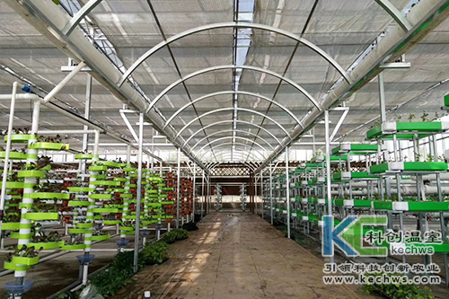 無土栽培,基質栽培,水培