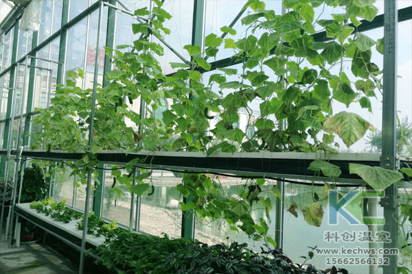 無土栽培技術(shù)，無土栽培設(shè)備，溫室大棚，無土栽培