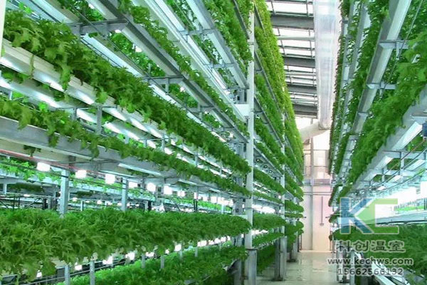 無土栽培設備，無土栽培技術，無土栽培，溫室大棚