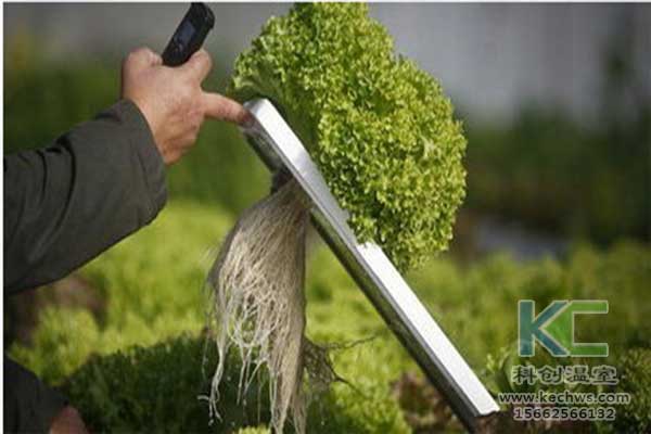 無土栽培，無土栽培技術，無土栽培設備