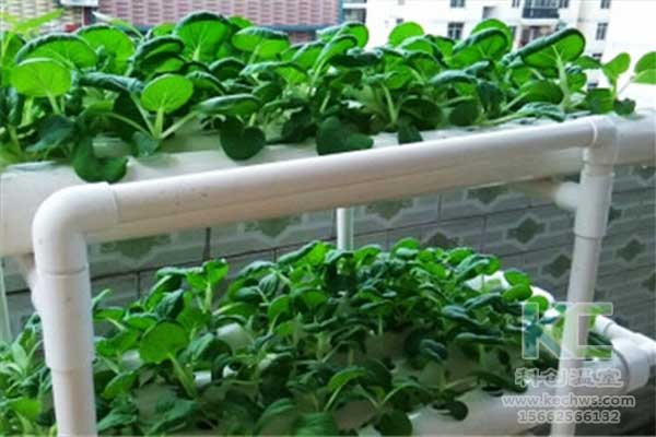 無土栽培，無土栽培技術(shù)，無土栽培設(shè)備