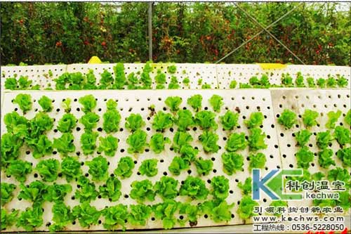 無土栽培，無土栽培技術，無土栽培設備