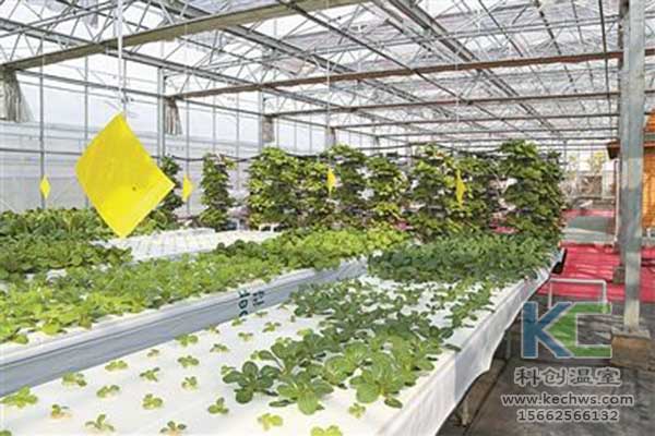 無土栽培，無土栽培技術(shù)，無土栽培設(shè)備