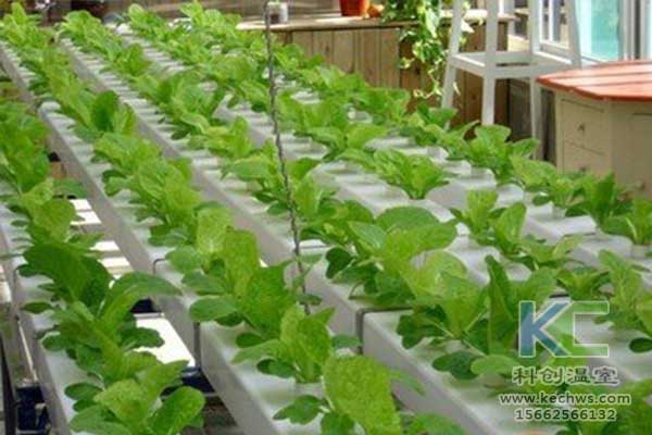 無土栽培，無土栽培技術，無土栽培設備