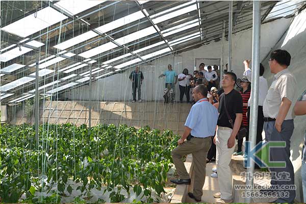 無土栽培，無土栽培技術，無土栽培設備