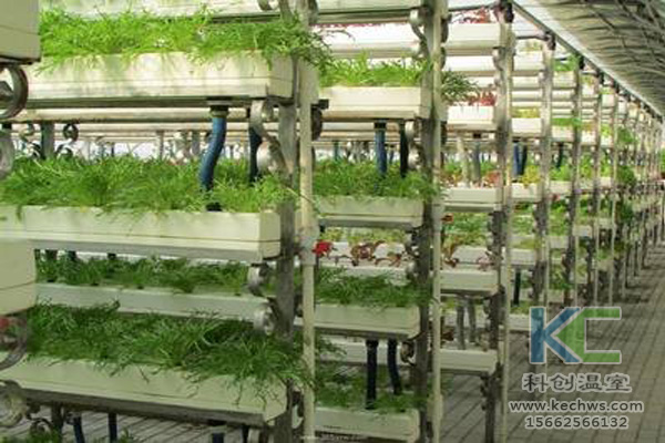 無土栽培，無土栽培技術(shù)，無土栽培設(shè)備