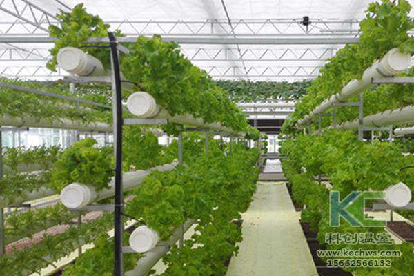 無土栽培，無土栽培技術，無土栽培設備