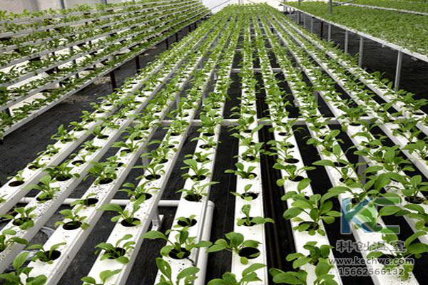 無土栽培技術(shù)，無土栽培設(shè)備，無土栽培，溫室大棚
