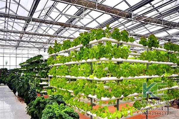 無土栽培技術，無土栽培設備，無土栽培，溫室大棚