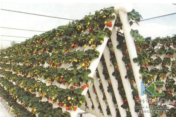 無(wú)土栽培，無(wú)土栽培技術(shù)，無(wú)土栽培設(shè)備