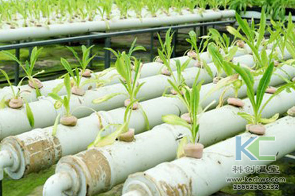 無土栽培技術(shù)，無土栽培設(shè)備，無土栽培，溫室大棚