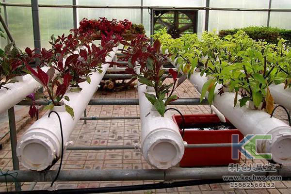 無土栽培，無土栽培技術，無土栽培設備