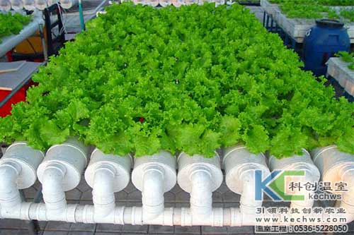 無土栽培，無土栽培技術，無土栽培設備
