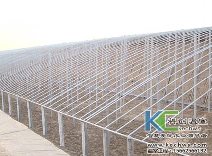 無(wú)土栽培，無(wú)土栽培技術(shù)，無(wú)土栽培設(shè)備