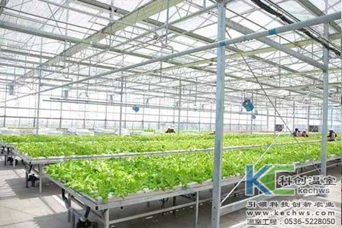 無土栽培，營養液