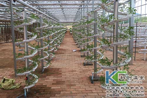 立體栽培，無土栽培，無土栽培技術