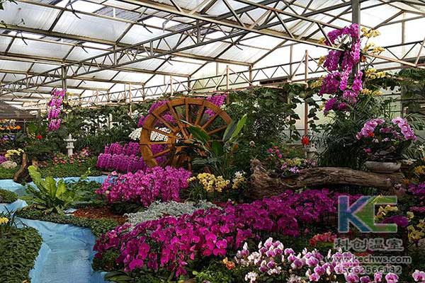 無土栽培，無土栽培技術，無土栽培設備