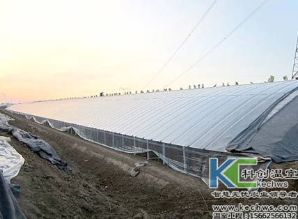 無(wú)土栽培，無(wú)土栽培技術(shù)，無(wú)土栽培設(shè)備