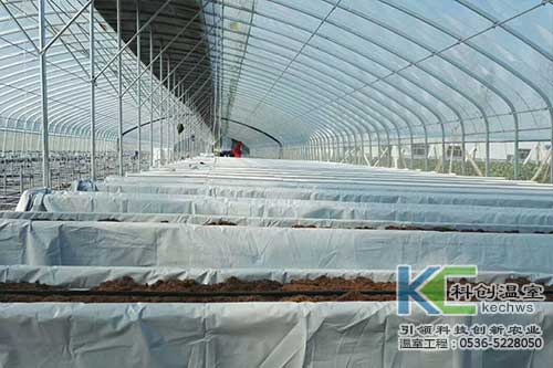 無土栽培，無土栽培技術(shù)，無土栽培設(shè)備
