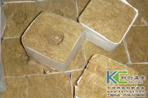 無土栽培，無土栽培技術(shù)，無土栽培設(shè)備