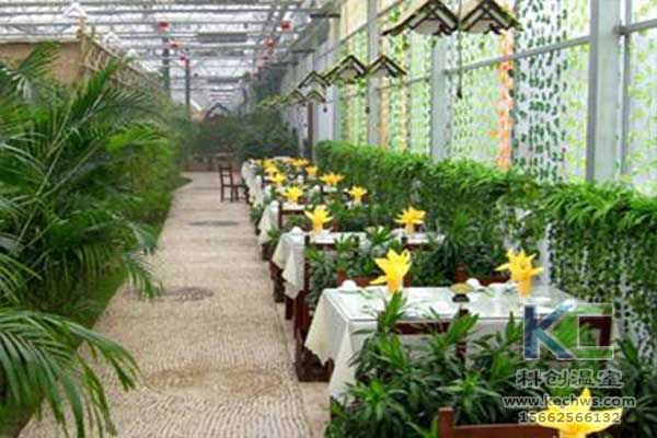 無土栽培，無土栽培技術，無土栽培設備