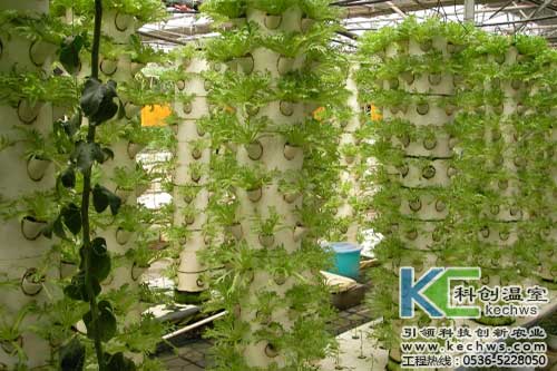 無土栽培，無土栽培技術，無土栽培設備