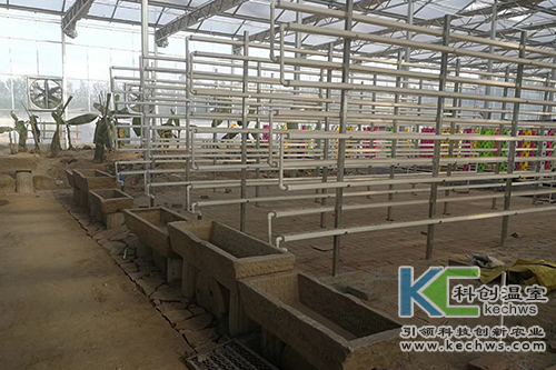 無土栽培,無土栽培技術,工程