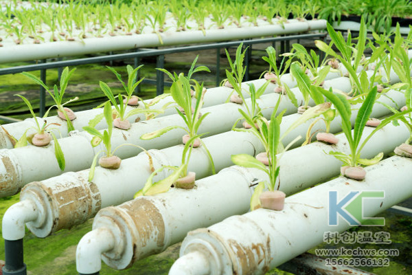無土栽培，無土栽培技術(shù)，無土栽培設(shè)備