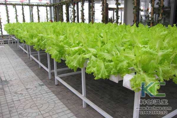 無土栽培，無土栽培技術，無土栽培設備