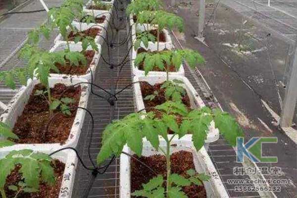 無土栽培，無土栽培技術(shù)，無土栽培設(shè)備