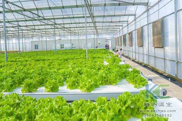 無(wú)土栽培，無(wú)土栽培技術(shù)，無(wú)土栽培設(shè)備