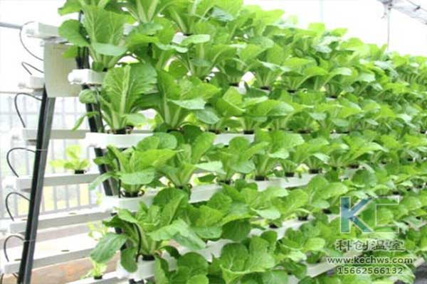 無土栽培，無土栽培技術(shù)，無土栽培設(shè)備